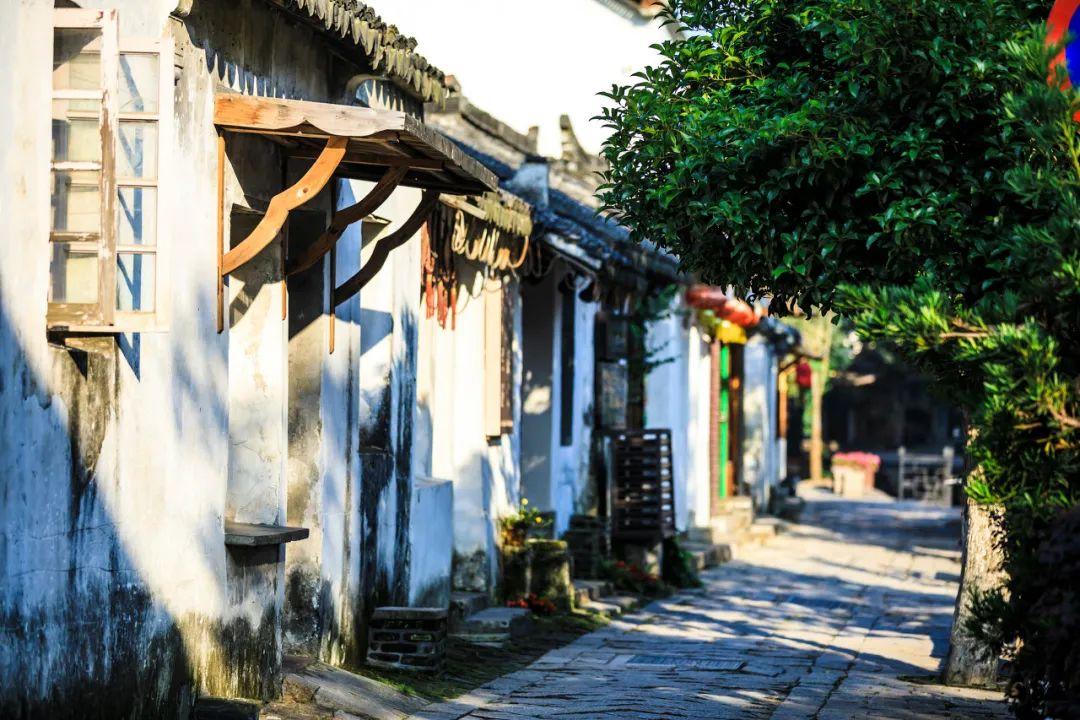 黑曜石《宣誓》将有同伴陪同冒险 但没有浪漫关系